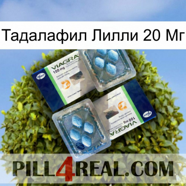 Тадалафил Лилли 20 Мг viagra5.jpg